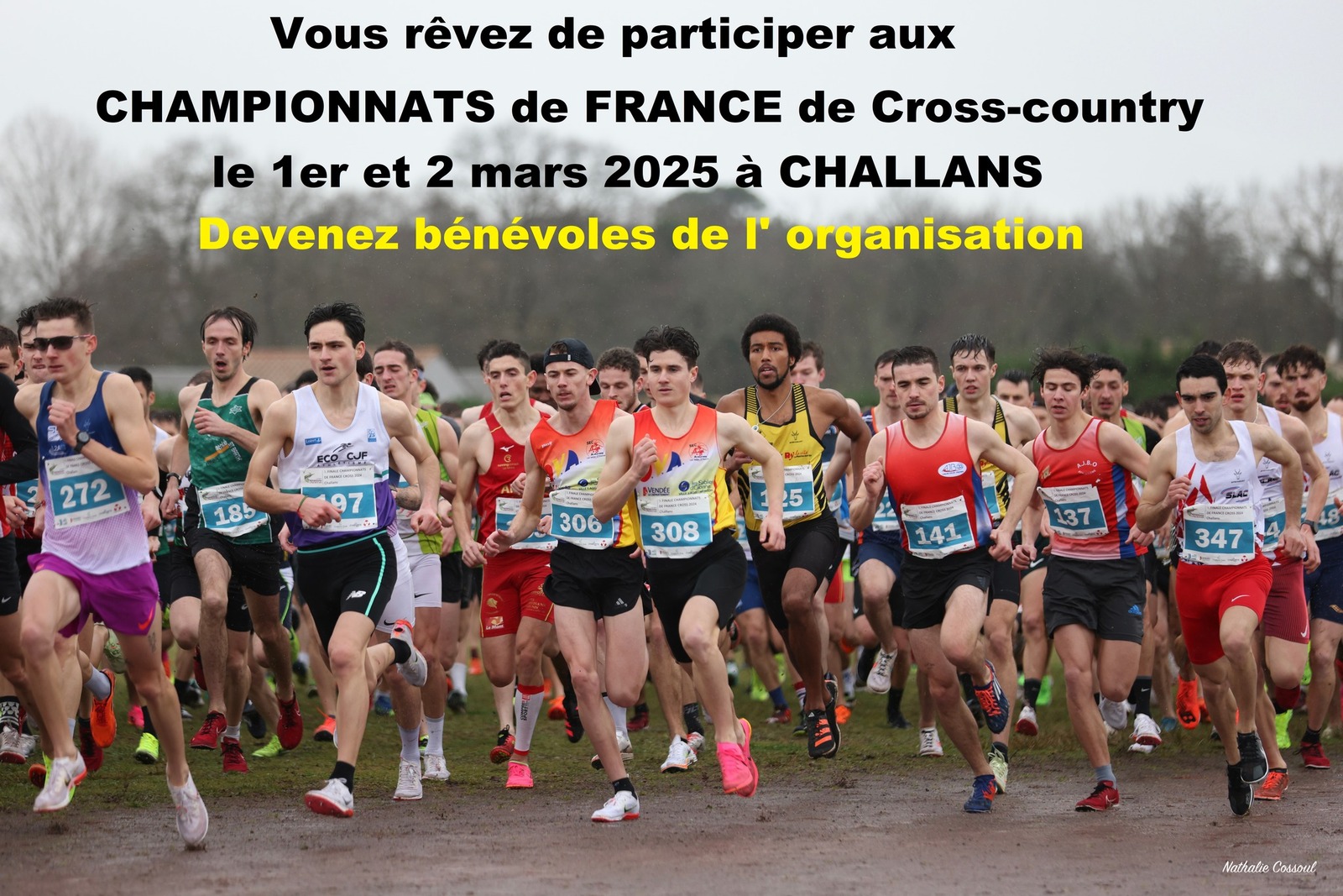 Championnats de France de Cross country 