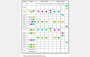 Départementaux Pointes d’or